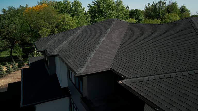 Best Chimney Flashing Repair  in Lagrange, GA